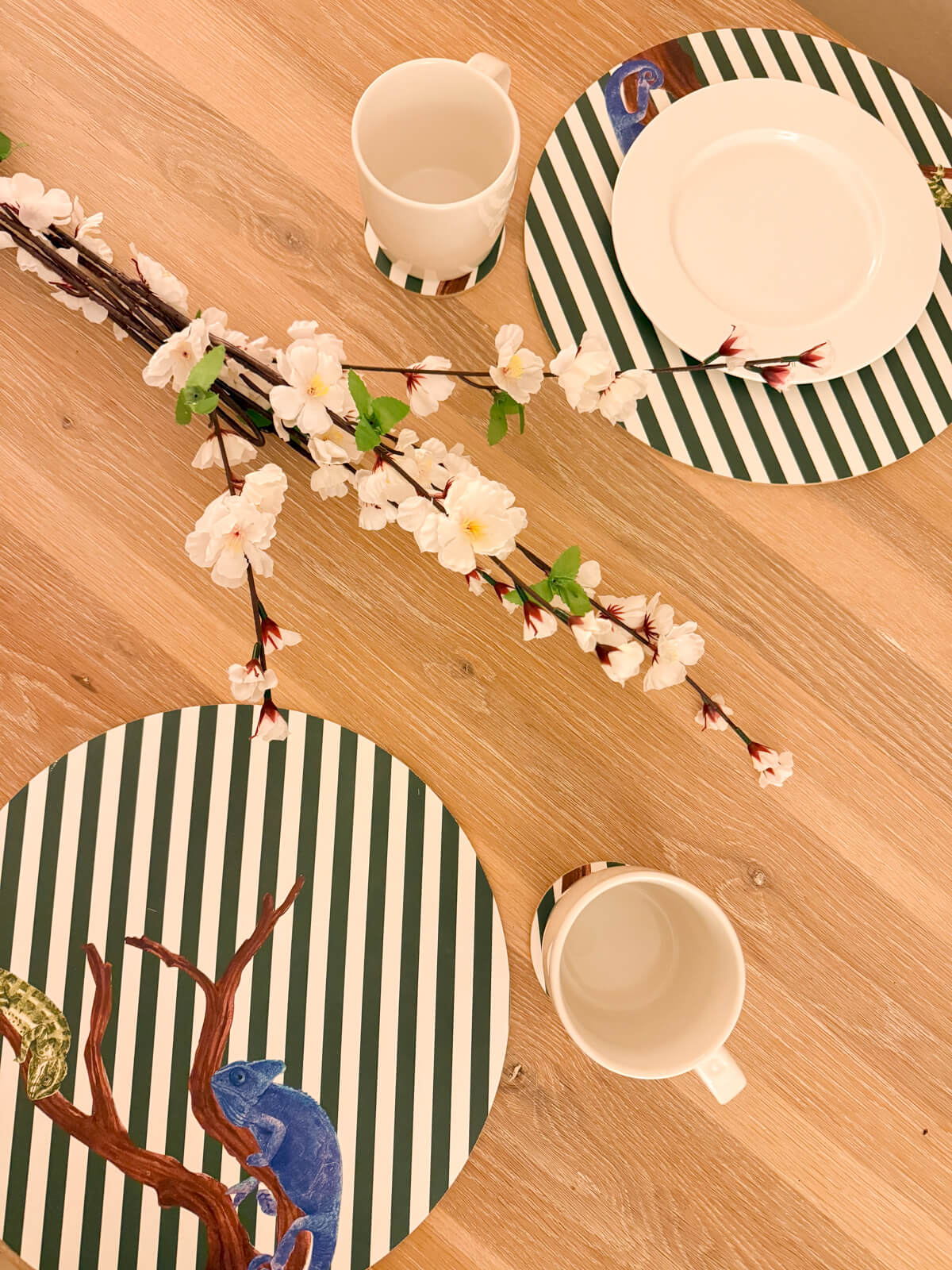 Set sottopiatti + sottobicchieri - Camaleonte - mise en place